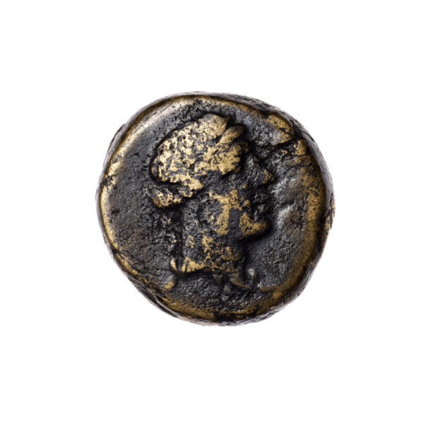 Bronze coin from Pantikapaion, Cimmerian Bosporus (1st quarter of the 1st century BC, 95–65 BC),