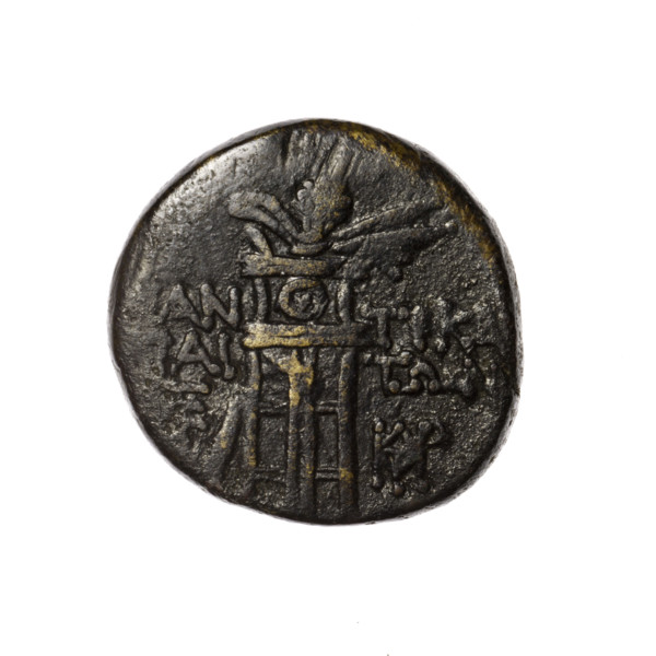 Bronze coin, Pantikapaion. Obverse: head of Apollo in a laurel wreath facing right. Reverse: