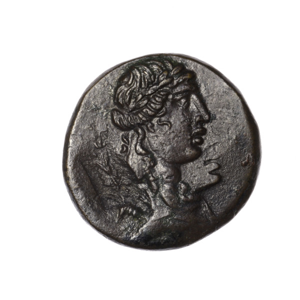 bronze coin, Pantikapaion; obverse: head of Apollo in a laurel wreath to the right, rectangular