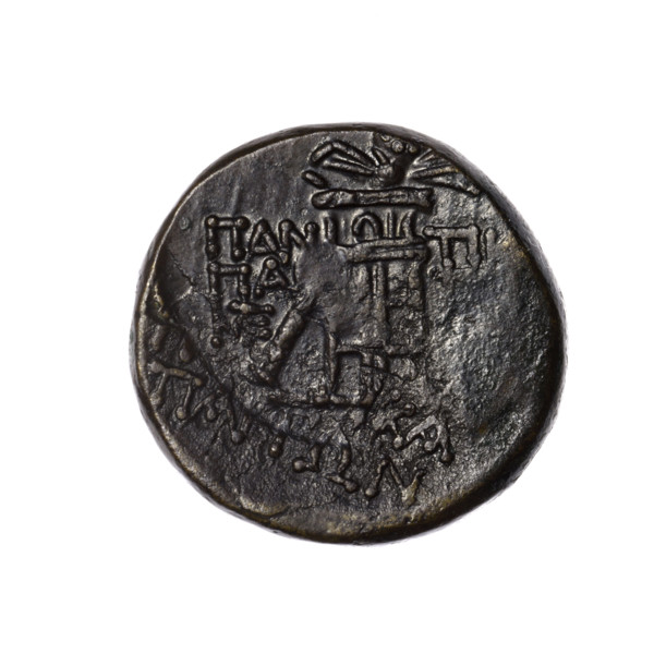 Bronze coin from Pantikapaion; obverse: head of Apollo in a laurel wreath facing right, rectangular