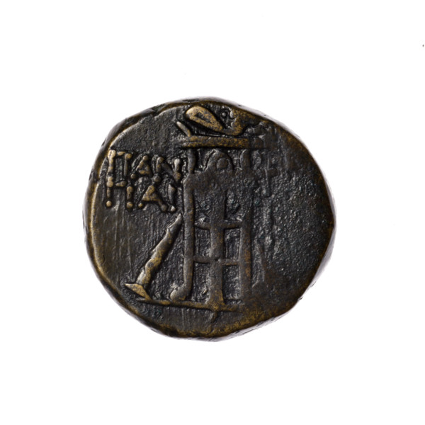 Bronze coin, Pantikapaion. Obverse: head of Apollo in a laurel wreath to the right. Reverse: