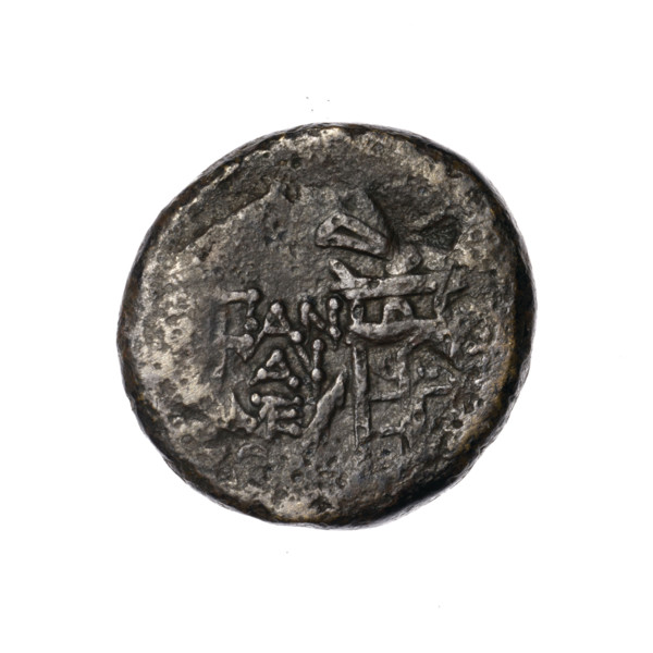 Bronze coin, Pantikapaion; obverse: head of Apollo in a laurel wreath to the right; behind it a