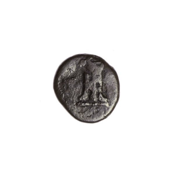 bronze coin, Pantikapaion; tripod (iconographic), stars, eight-pointed star (iconographic);