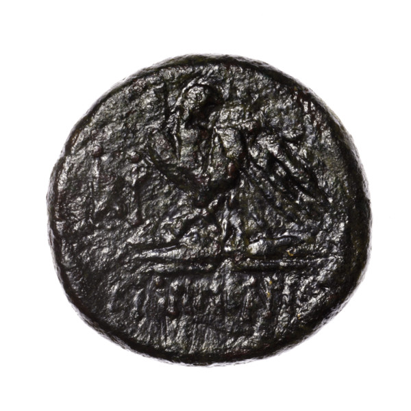 bronze coin, Pantikapaion; obverse: head of Apollo in a laurel wreath facing right; reverse: eagle