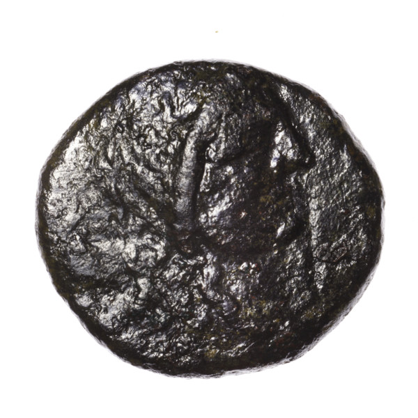 Bronze coin, Pantikapaion; obverse: head of Apollo in a laurel wreath facing right; reverse: eagle