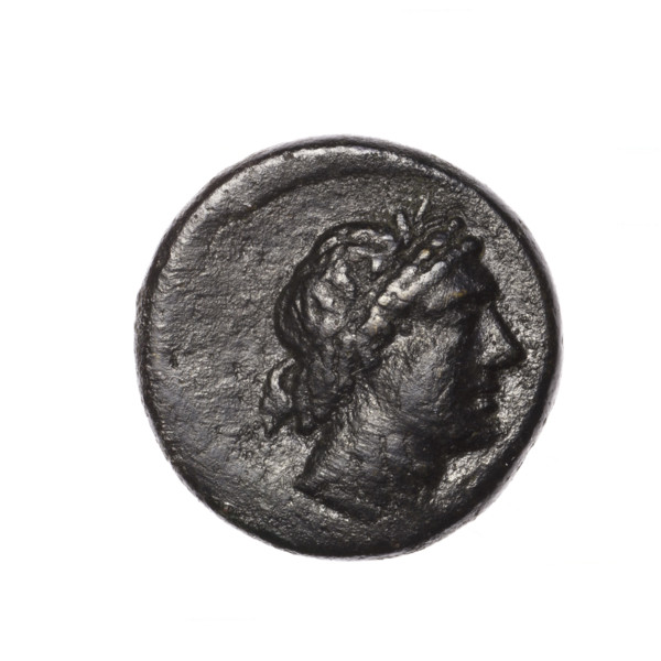 bronze coin, Pantikapaion; head of Apollo (iconographic); Pegasus (mythology); obv: head of Apollo