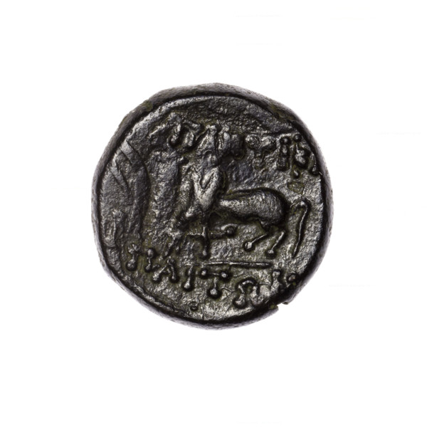 Bronze coin, Pantikapaion; obverse: head of Apollo in laurel wreath facing right; reverse: grazing