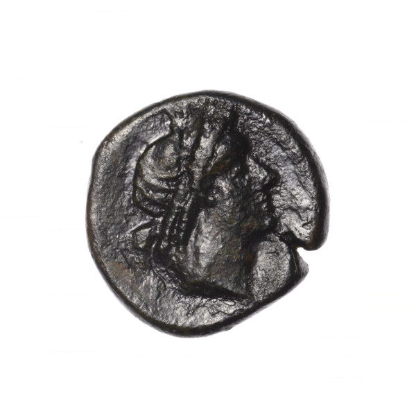 bronze coin, Pantikapaion, head of Apollo (iconographic), Pegasus (mythological), Black Sea, Apollo