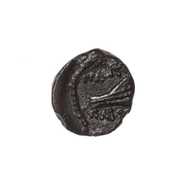 bronze coin, Pantikapaion; obverse: head of Apollo in laurel wreath to the right, pearl rim;