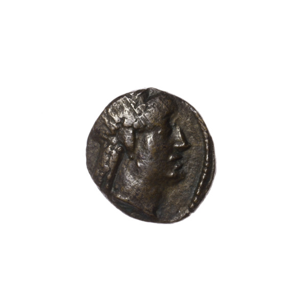 bronze coin, Pantikapaion, prora (iconographic), head of Apollo (iconographic), Apollo (mythology),