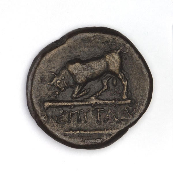 bronze coin, Chersonesos, bulls, Artemis killing a doe (iconographic), quivers, clubs, Black Sea,