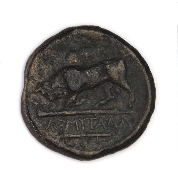 bronze coin, Chersonesos, bulls, Artemis killing a doe (iconographic), quivers, clubs, Black Sea,