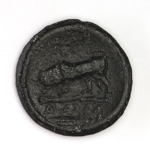 Bronze coin, Chersonesos (Chersonesos Taurica), 300–290 BC. Obverse: Artemis (Deva) facing left,