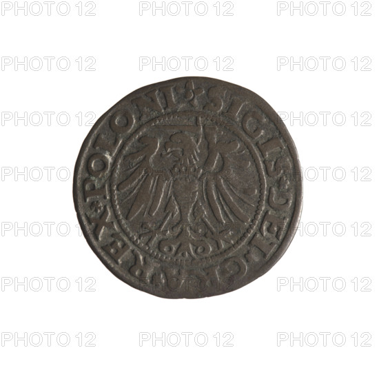 Gdansk szelag, Sigismund I the Old (King of Poland; 1506–1548). Polish coin (1532). Obverse: Eagle
