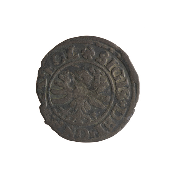 Gdansk szelag, Sigismund I the Old (King of Poland; 1506–1548), Polish coin depicting eagle (coat