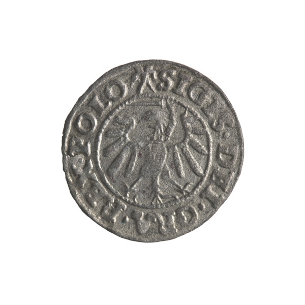 Gdansk szelag, Sigismund I the Old (King of Poland; 1506–1548). Obverse: Eagle of Royal Prussia, in