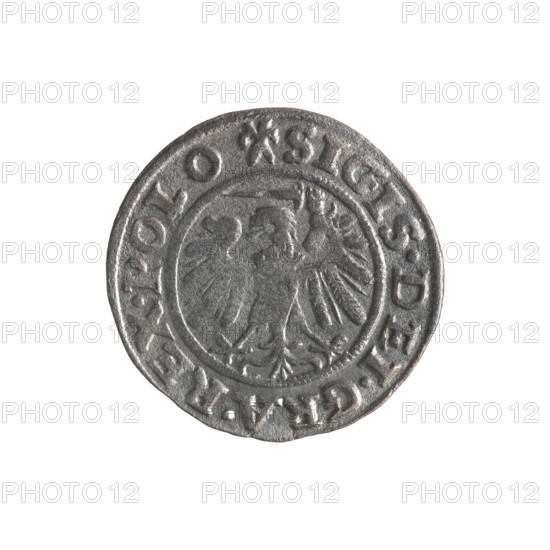Gdansk szelag, Sigismund I the Old (King of Poland; 1506–1548). Obverse: Eagle of Royal Prussia, in