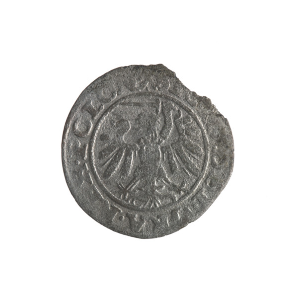 Gdansk szelag, Sigismund I the Old (King of Poland; 1506–1548). Obverse: Eagle of Royal Prussia, in