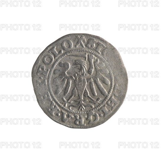 Gdansk szelag, Sigismund I the Old (King of Poland; 1506–1548). Obverse: Eagle of Royal Prussia; in