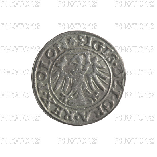 Gdansk szelag, Sigismund I the Old (King of Poland; 1506–1548). Obverse: Eagle of Royal Prussia; in