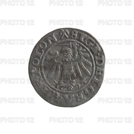Gdansk szelag, Sigismund I the Old (King of Poland; 1506–1548); obverse: Eagle of Royal Prussia, in