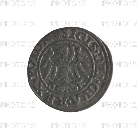 Gdansk szelag, Sigismund I the Old (King of Poland; 1506–1548). Obverse: Eagle of Royal Prussia, in