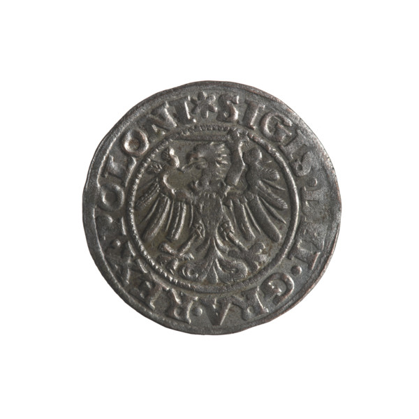 Gdansk szelag, Sigismund I the Old (King of Poland; reign 1506–1548). Obverse: Eagle of Royal