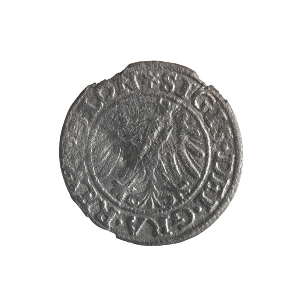 Gdansk szelag, Sigismund I the Old (King of Poland; 1506–1548); obverse: Eagle of Royal Prussia,