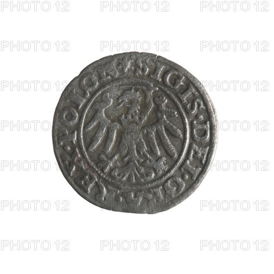 Gdansk szelag, Sigismund I the Old (King of Poland; 1506–1548); 1546; Obverse: Eagle of Royal