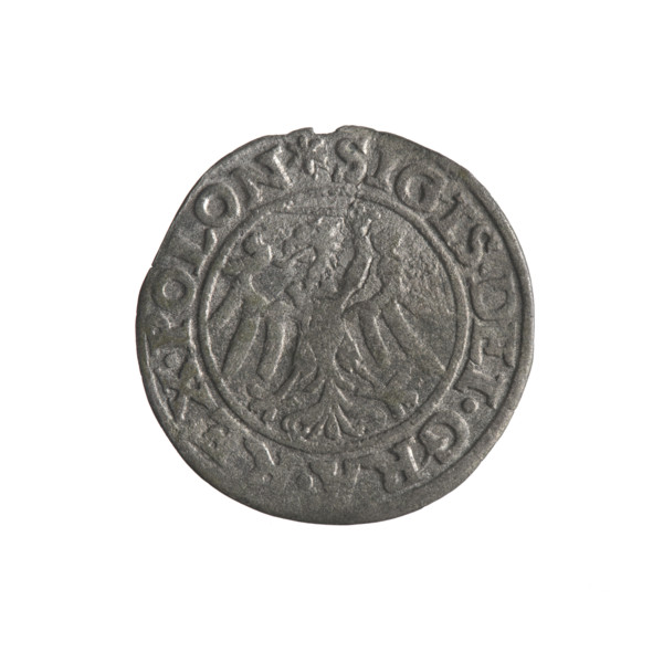Gdansk szelag, Sigismund I the Old (King of Poland; 1506–1548). Obverse: Eagle of Royal Prussia; in