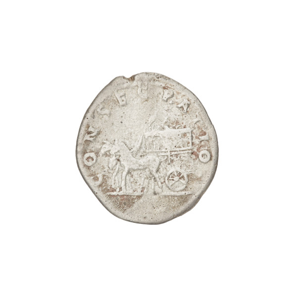 Denarius of Marcianna (Trajan's sister; during Trajan's reign 98–117). Obverse: bust of Marcianna