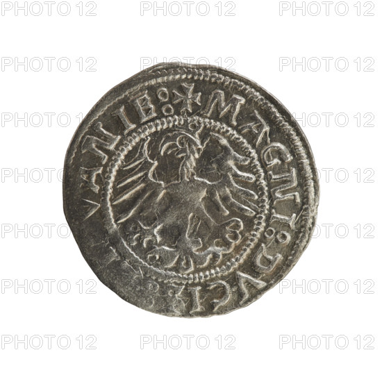 Lithuanian half-grosz, Sigismund I the Old (king of Poland; 1506–1548). R8 (rarity). Polish coin,