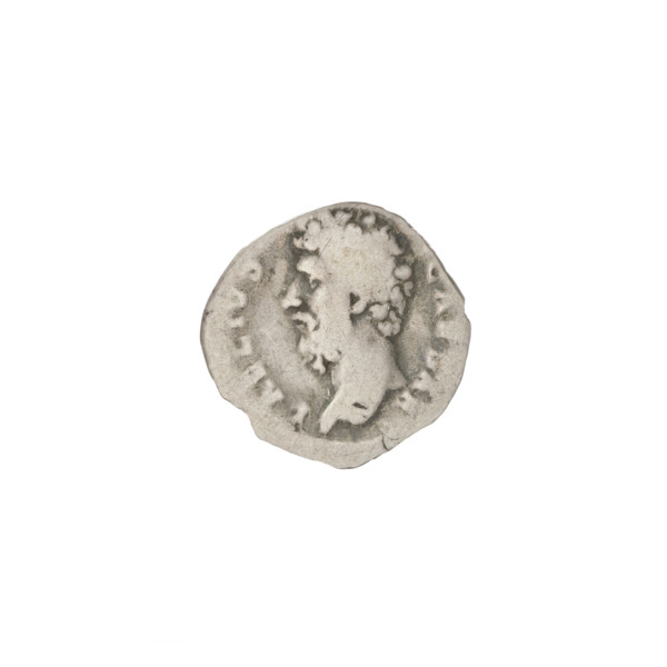 Denarius, Aelius (101–138; successor of Hadrian 136–138). Obverse: bearded head of Aelius left; rim