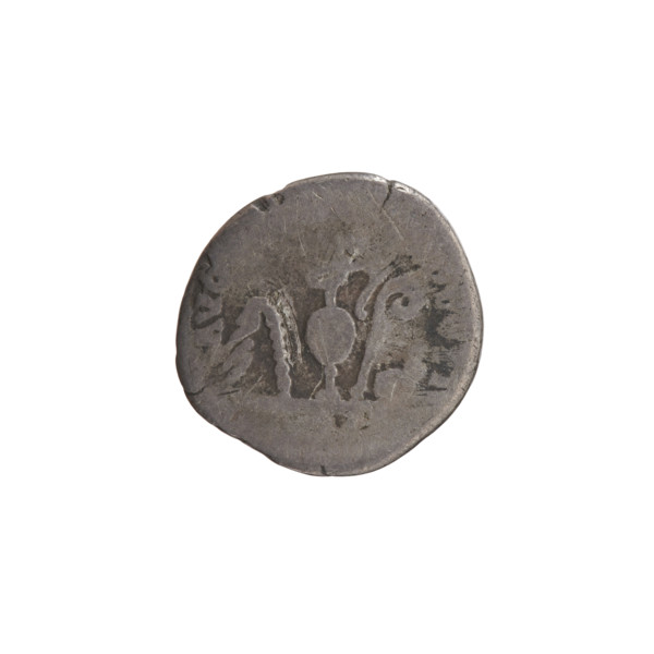 Denarius, Antoninus Pius (86–161; Roman emperor 138–161), obverse: head of Antoninus Pius in laurel