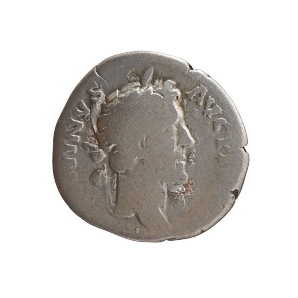 Denarius, Antoninus Pius (86–161; Roman emperor 138–161). Obverse: Head of Antoninus Pius in a
