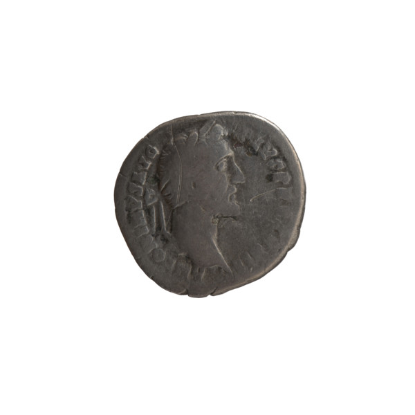 Denarius of Antoninus Pius (86–161; Roman emperor 138–161), 148–149. Obverse: Head of Antoninus