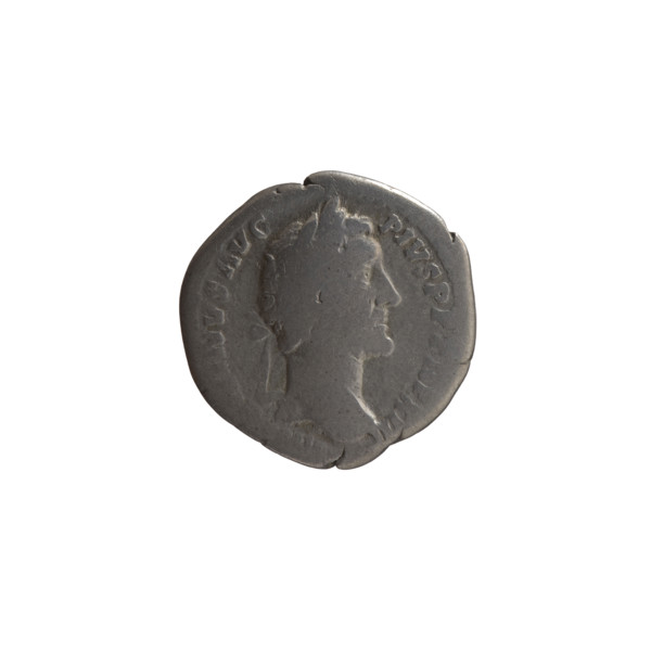 Denarius, Antoninus Pius (86–161; Roman emperor 138–161), issuer. Obverse: Head of Antoninus Pius