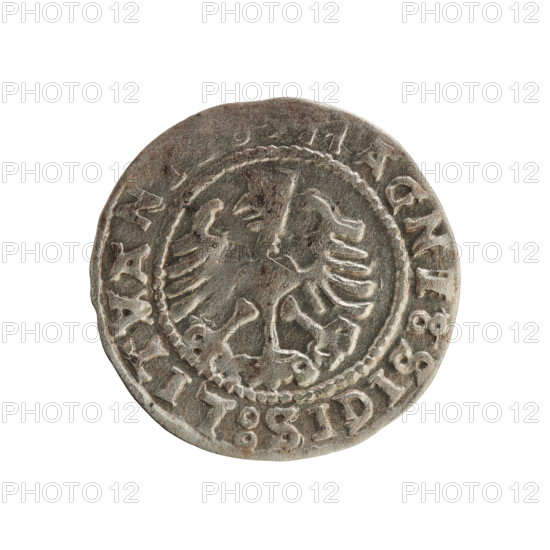Lithuanian half-grosz, Sigismund I the Old (king of Poland; 1506–1548). Polish coin of the