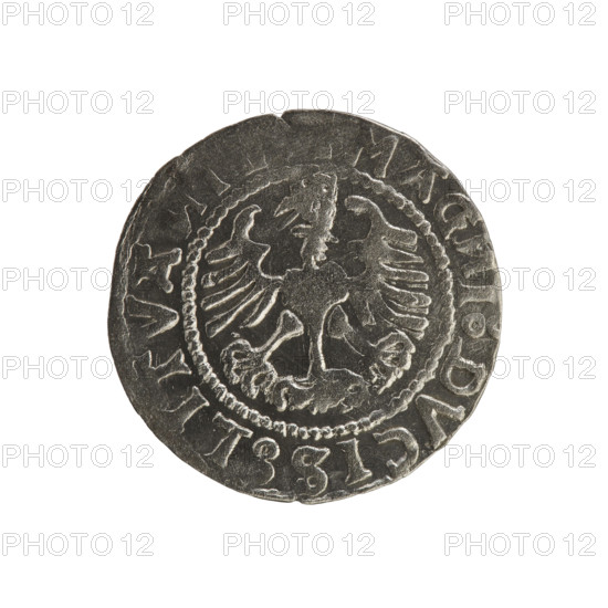 Lithuanian half-grosz, Sigismund I the Old (king of Poland; 1506–1548). R8 (rarity). Polish coin