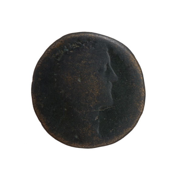 Dupondius, Antoninus Pius (86–161; Roman emperor 138–161), issuer. Obverse: Head of Antoninus Pius