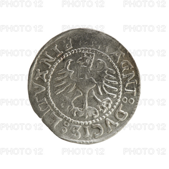 Lithuanian half-grosz, Sigismund I the Old (King of Poland; 1506–1548). Obverse: Pogon (mounted