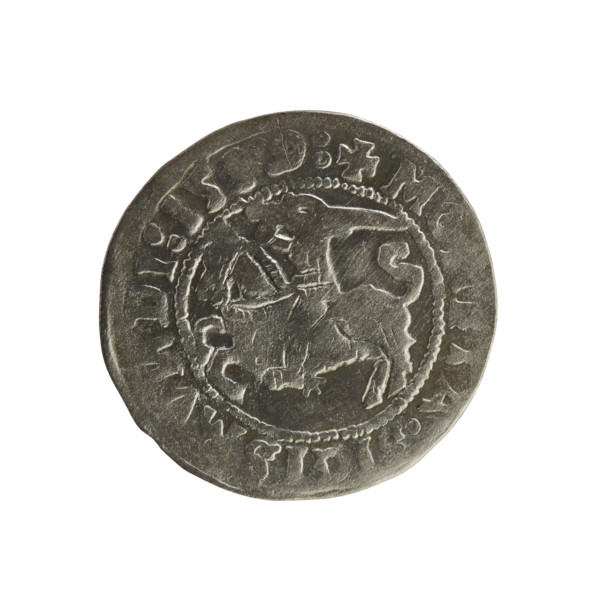 Lithuanian half-grosz, Sigismund I the Old (king of Poland; 1506–1548). Coin (1529). Obverse: