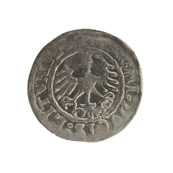 Lithuanian half-grosz of Sigismund I the Old (King of Poland; reign 1506–1548). Obverse: Pogon