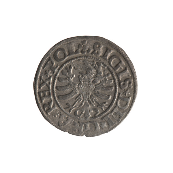 Gdansk szelag, Sigismund I the Old (King of Poland; 1506–1548). Polish coin (1531). Obverse: Eagle