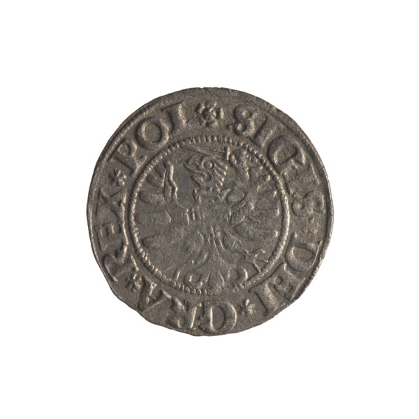 Gdansk szelag, Sigismund I the Old (King of Poland; 1506–1548). Obverse: Eagle of Royal Prussia;