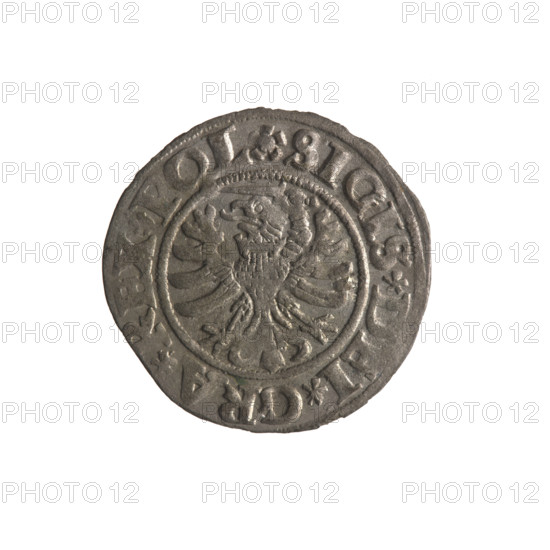 Gdansk szelag, Sigismund I the Old (King of Poland; 1506–1548). Obverse: Eagle of Royal Prussia; in