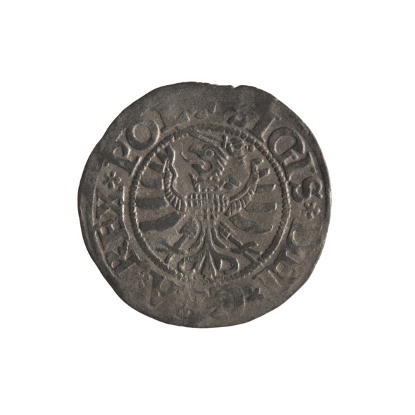 Gdansk szelag, Sigismund I the Old (King of Poland; 1506–1548). Obverse: Eagle of Royal Prussia; in