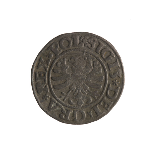 Gdansk szelag, Sigismund I the Old (King of Poland; 1506–1548); Polish coin (1531). Obverse: Eagle