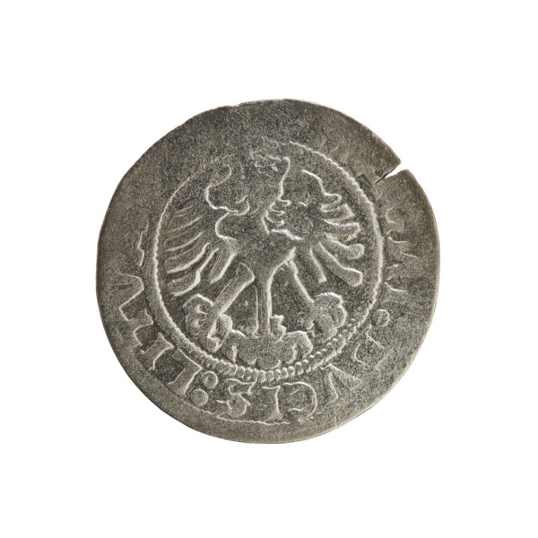 Lithuanian half-grosz, Sigismund I the Old (King of Poland; reigned 1506–1548). Obverse: Pogon
