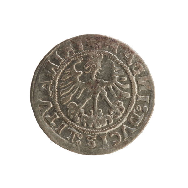 Lithuanian half-grosz, Sigismund I the Old (king of Poland; 1506–1548). Polish coin of the